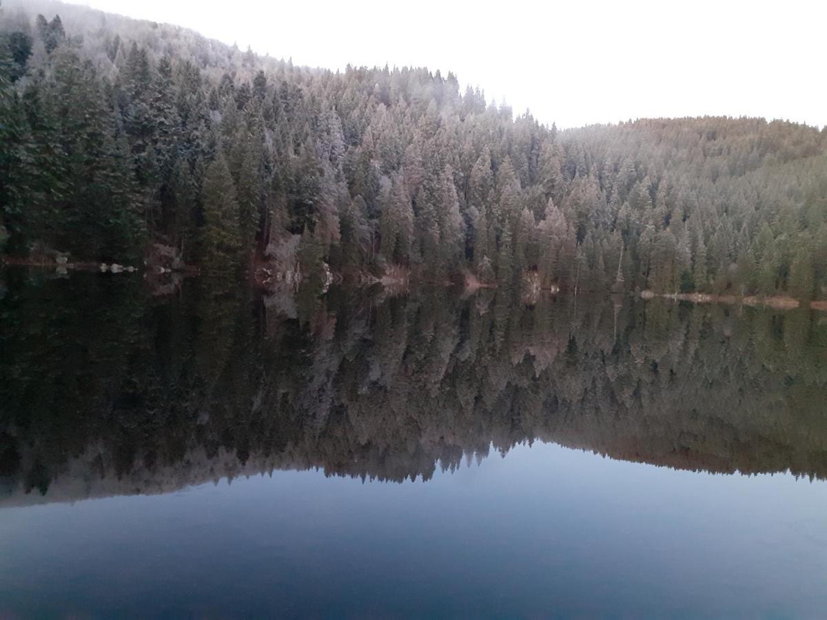 Munster Camping De La Fecht Zewnętrze zdjęcie