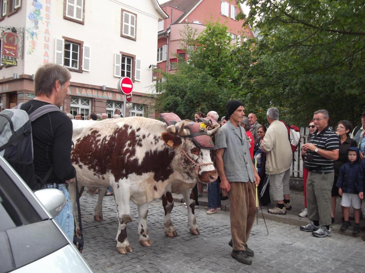 Munster Camping De La Fecht Zewnętrze zdjęcie