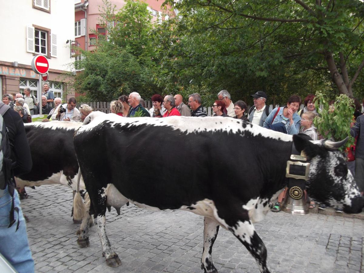 Munster Camping De La Fecht Zewnętrze zdjęcie