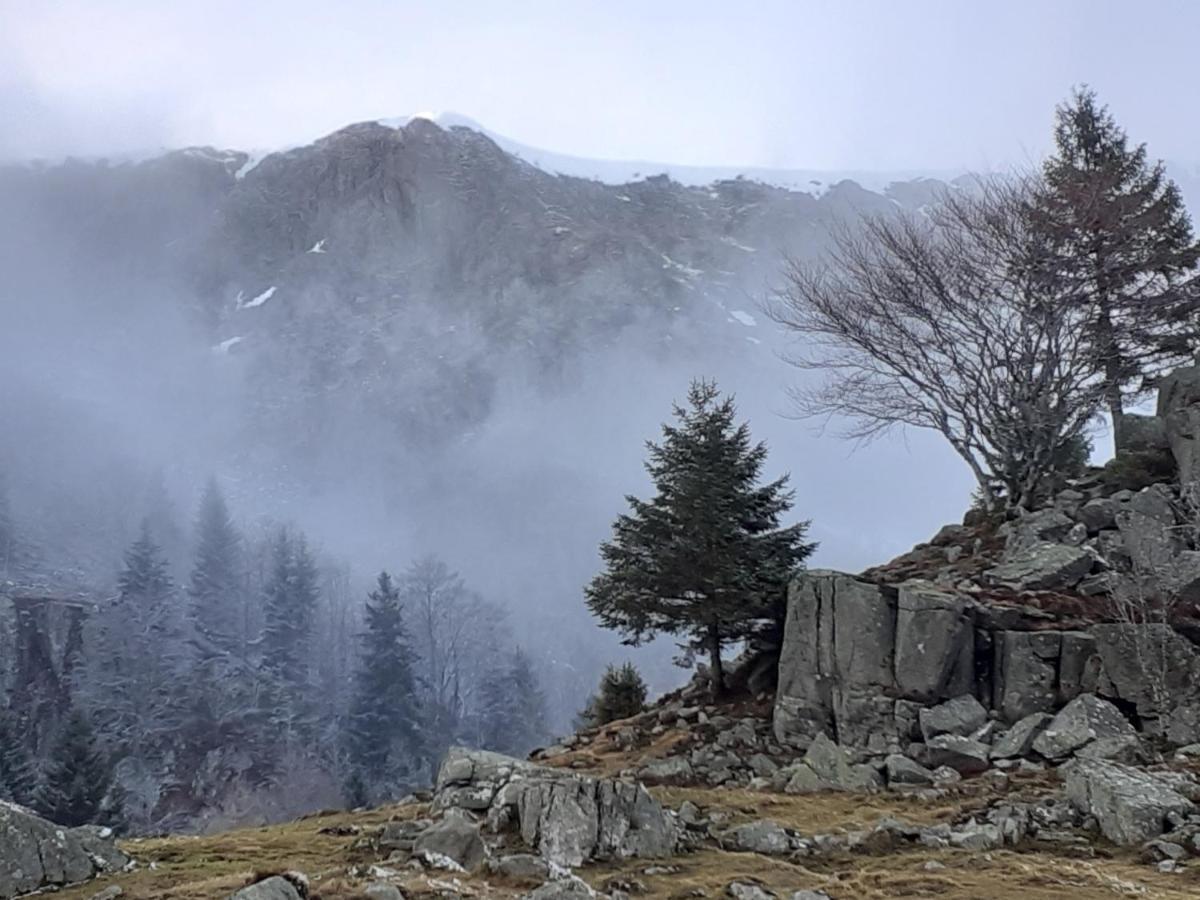 Munster Camping De La Fecht Zewnętrze zdjęcie