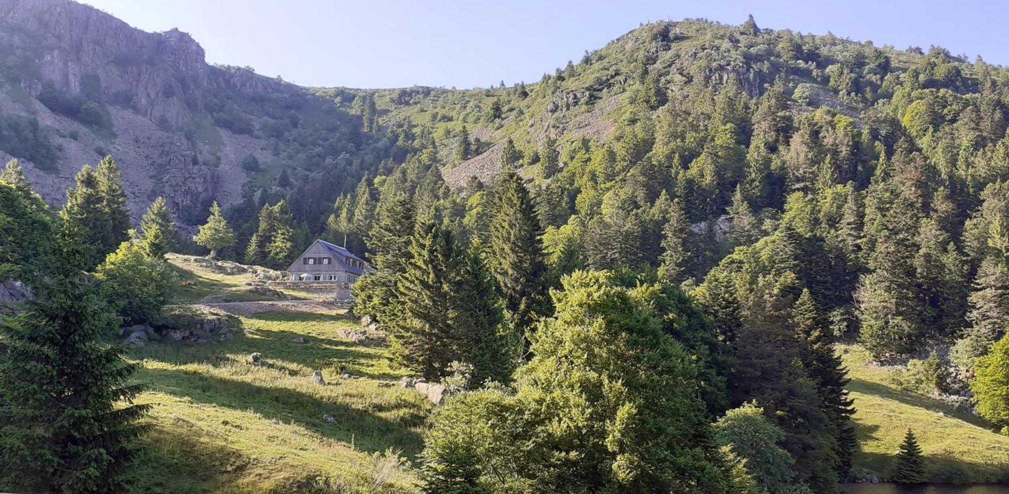 Munster Camping De La Fecht Zewnętrze zdjęcie